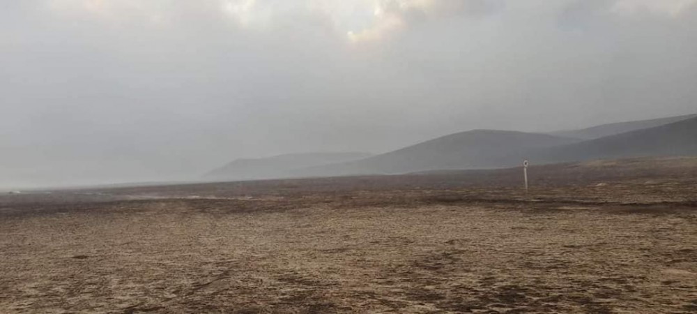 Гурван аймагт гарсан түймэрт 206,5 га талбай өртжээ