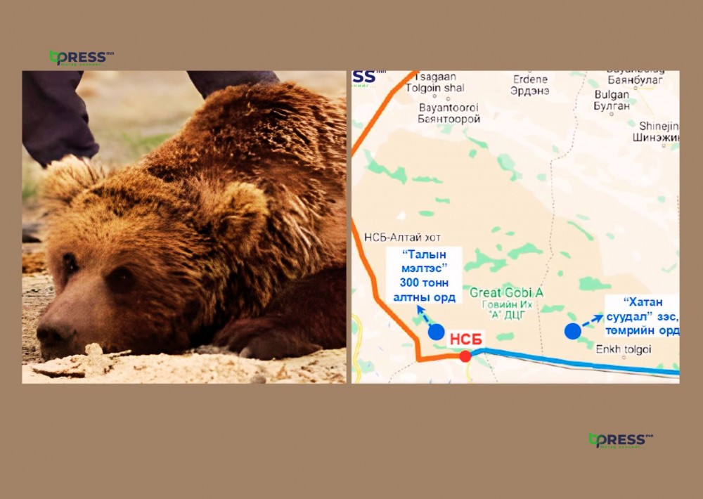 Мазаалайн өдөр - Нарансэвстэйн боомтыг яагаад нээж болохгүй вэ?