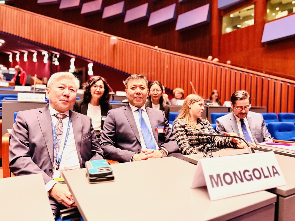 Ромын дүрэмд оролцогч талуудын ассамблейн 24 дүгээр чуулганд оролцжээ