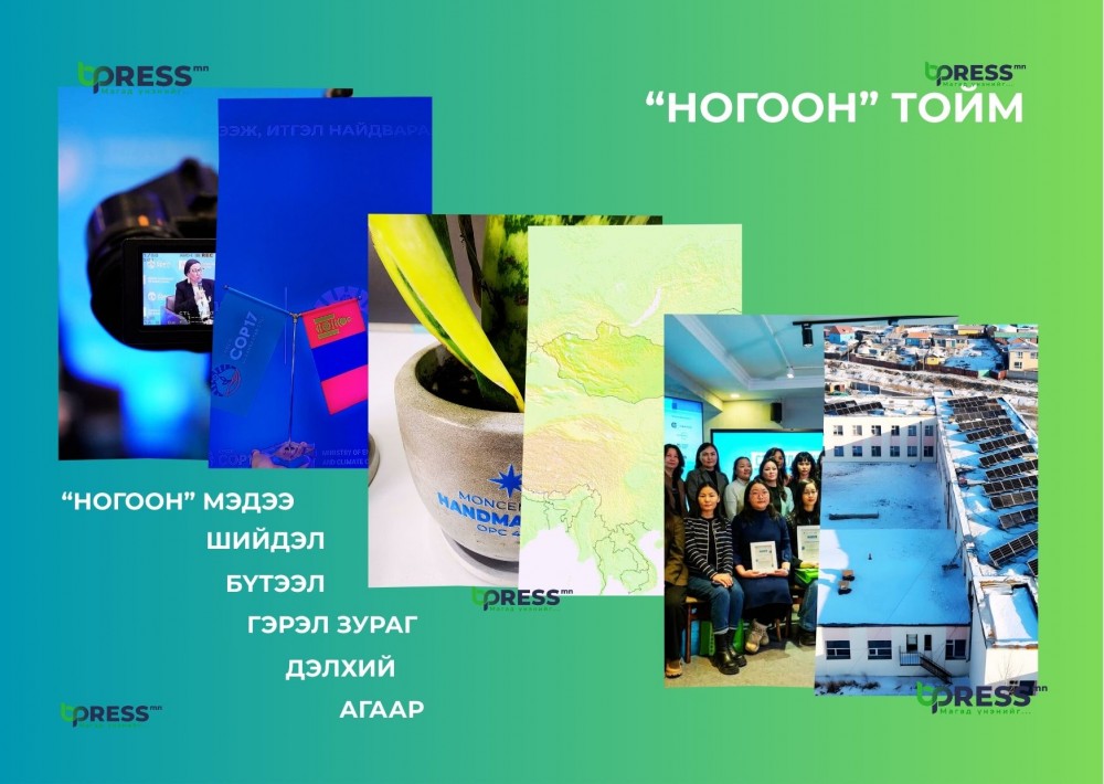 “НОГООН” ТОЙМ