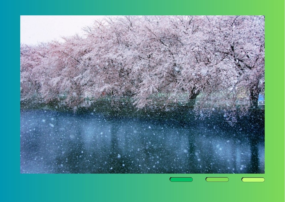 Цас орж, цасан шуурга шуурна.