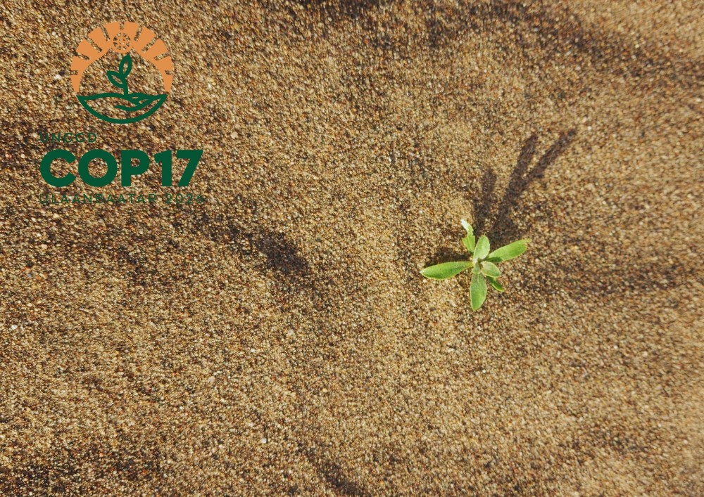 COP17 бага хурлын бэлтгэл ба үлдсэн 285 хоногт гүйцэтгэх ажил