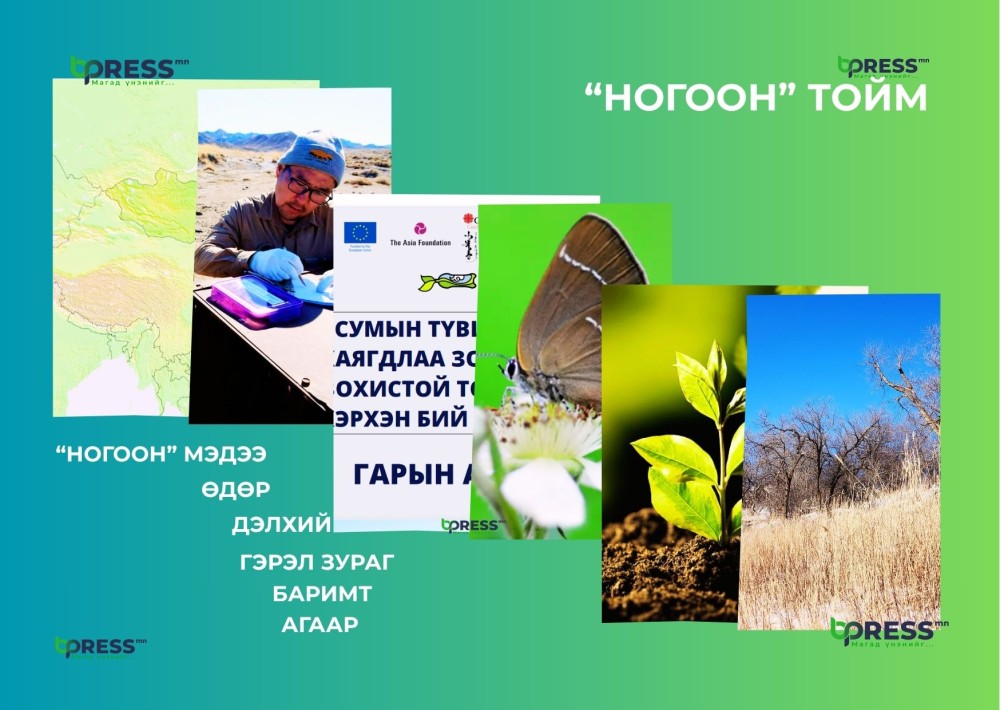 “НОГООН” ТОЙМ