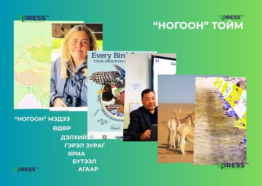 “НОГООН” ТОЙМ