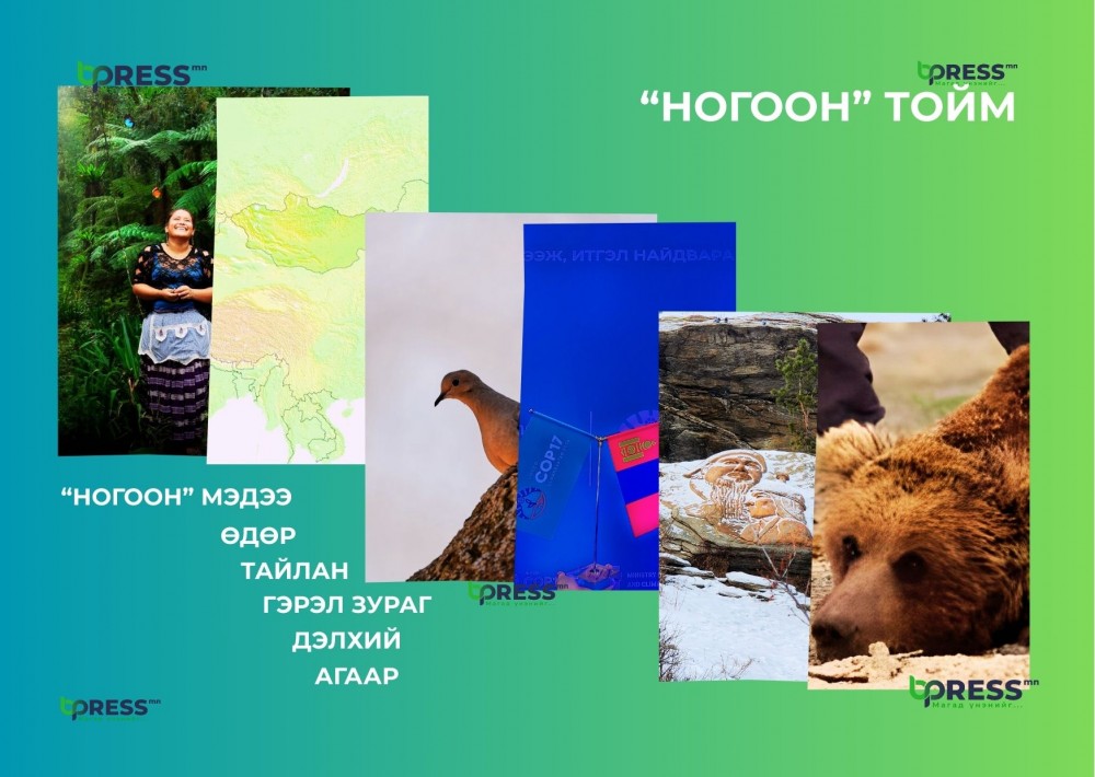 “НОГООН” ТОЙМ