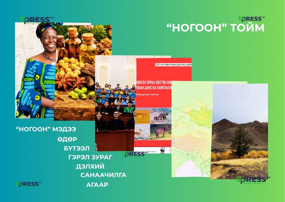 “НОГООН” ТОЙМ