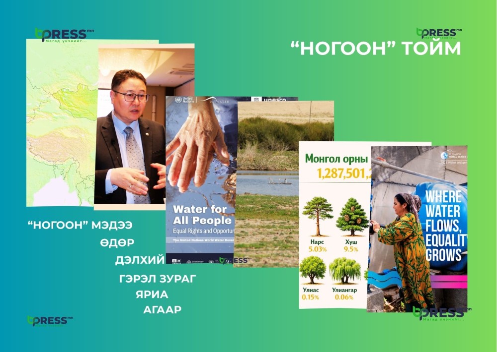 “НОГООН” ТОЙМ