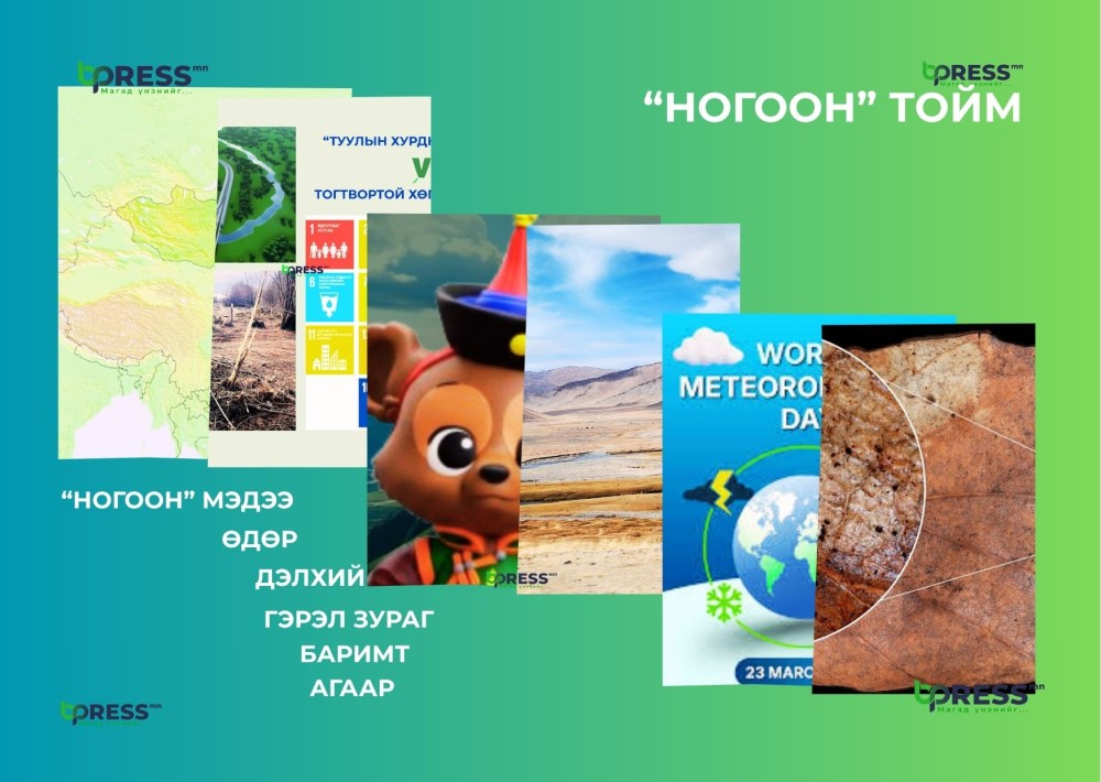 “НОГООН” ТОЙМ