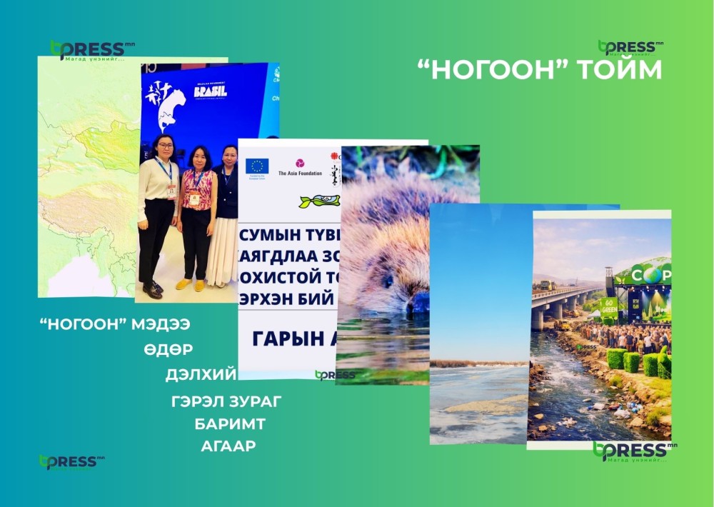 “НОГООН” ТОЙМ