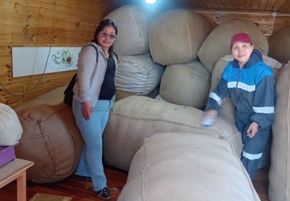 "Ноолуур дэлхийд хамгийн үнэтэй брэнд болохуйц бүтээгдэхүүн. Ялангуяа Дорнодын ноолуур"