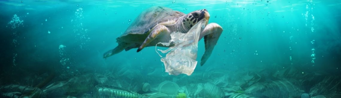 plastic_pollution_turtle_banner