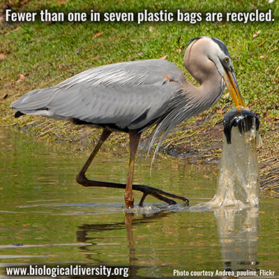 plasticbagfacts