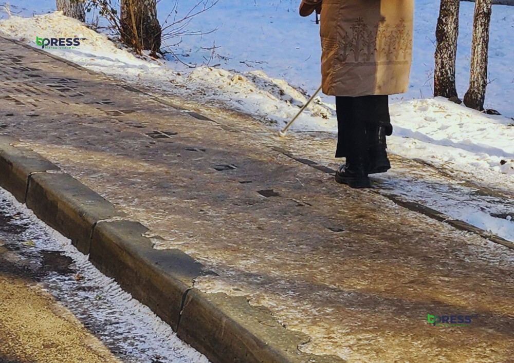 Ээлтэй хотын шийдэл: Тэдэнд зориулаад барьчихвал бүгдэд хүртээмжтэй болно