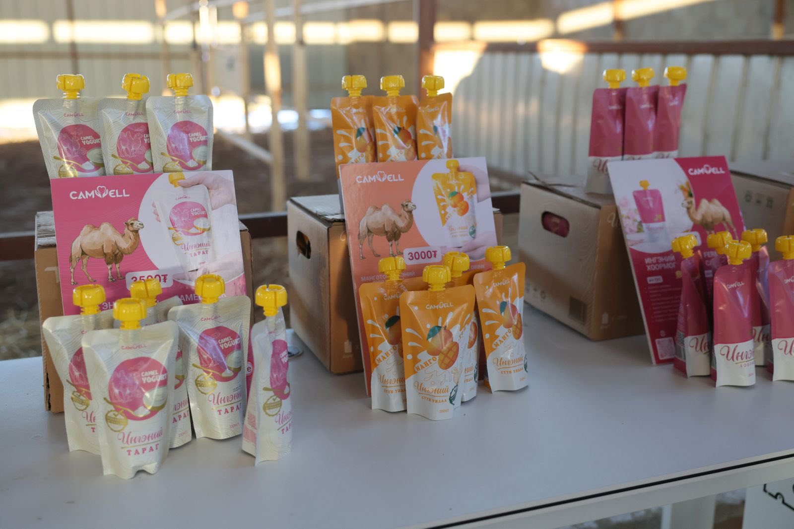 627100751_1451848826497836_1856377443043364606_n