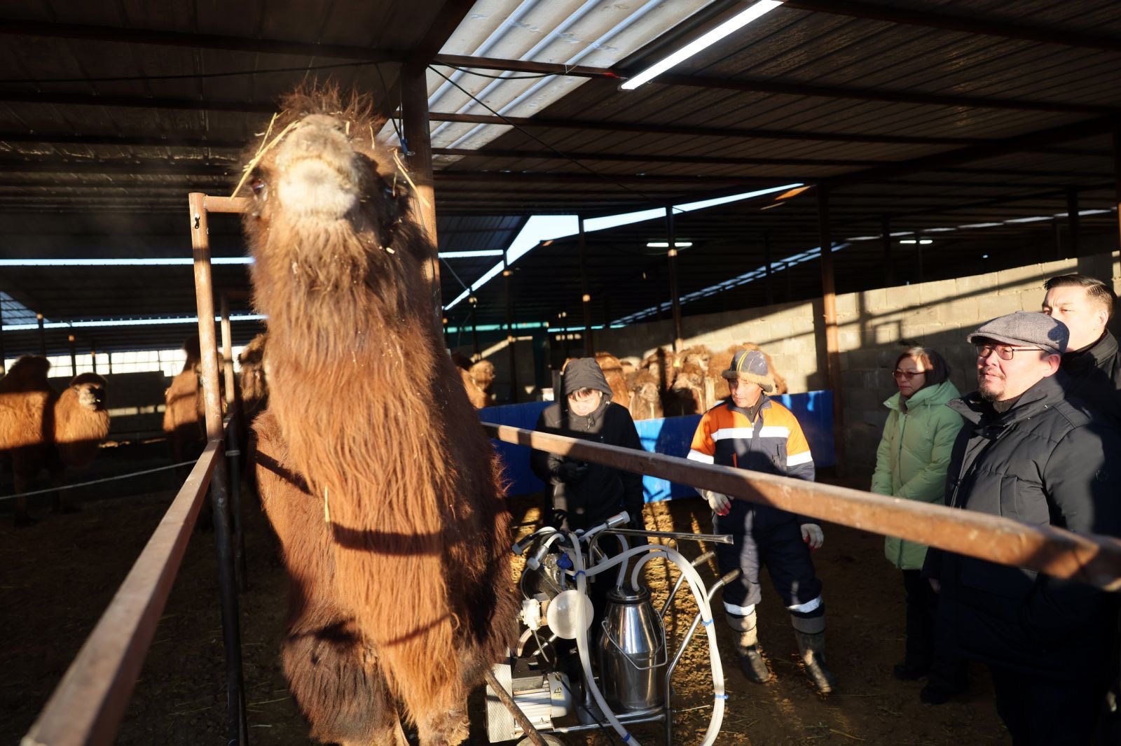 627536327_1451848773164508_2238818747186586960_n