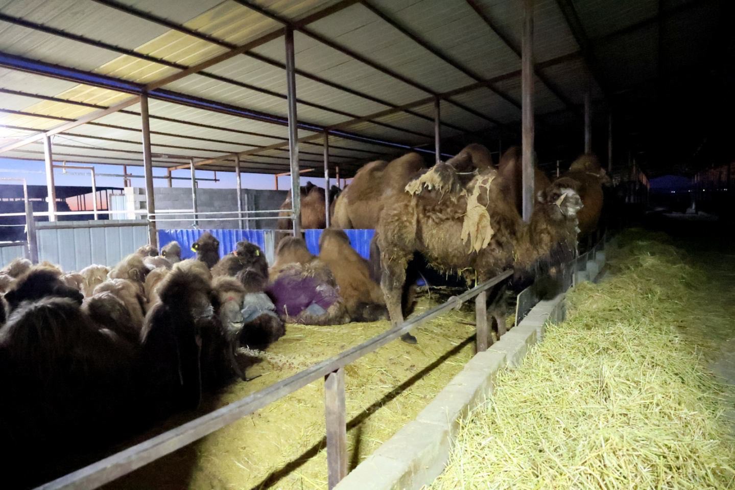 628392632_1451848876497831_3230686633113205020_n